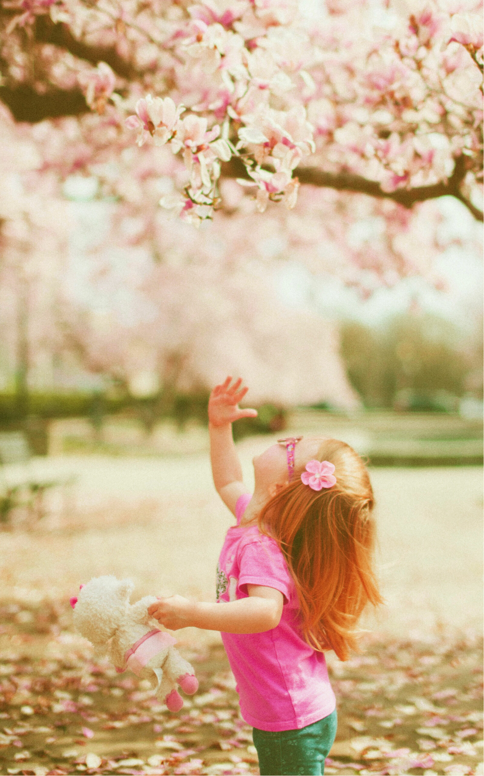Petite fille tendant la main vers des fleurs de cerisier