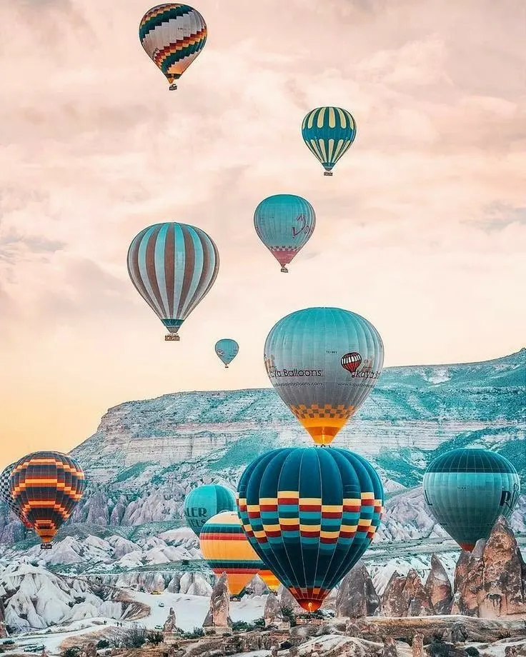 279364225_5652396244789101_8521194664792461447_n-copie